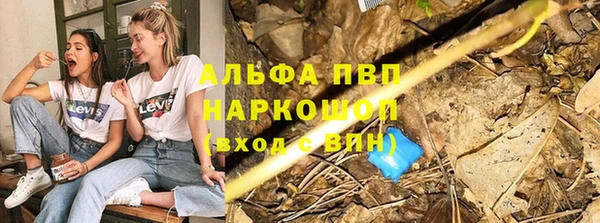 дживик Армянск