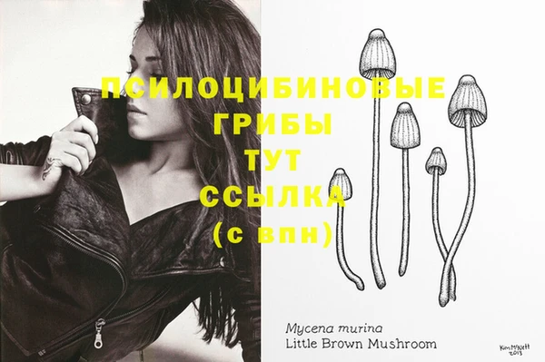 прущая мука Баксан