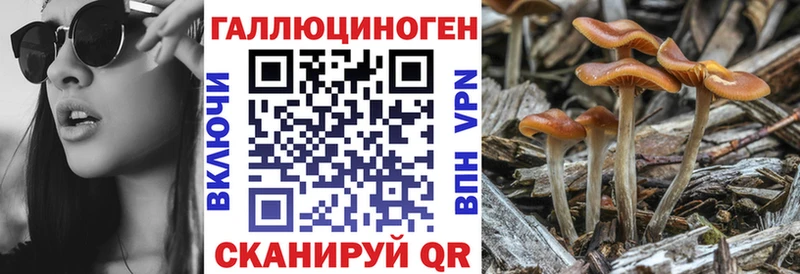 Псилоцибиновые грибы мухоморы  Сергач 